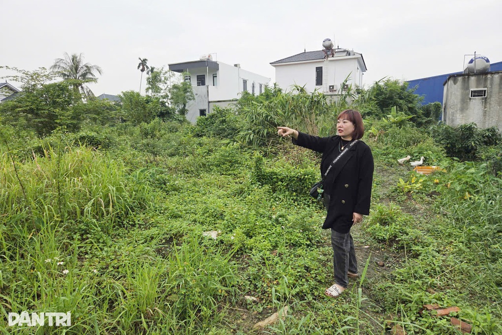 Cơ quan tố tụng lên tiếng vụ tố bị chiếm đoạt đất ở Hải Phòng - 1