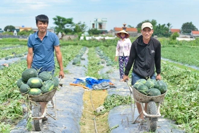 Về nơi thờ ông tổ nghề trồng dưa hấu - 9