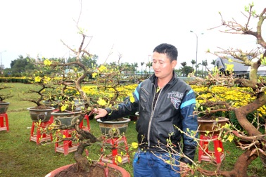 Chợ hoa Tết đìu hiu, người bán đứng ngồi không yên