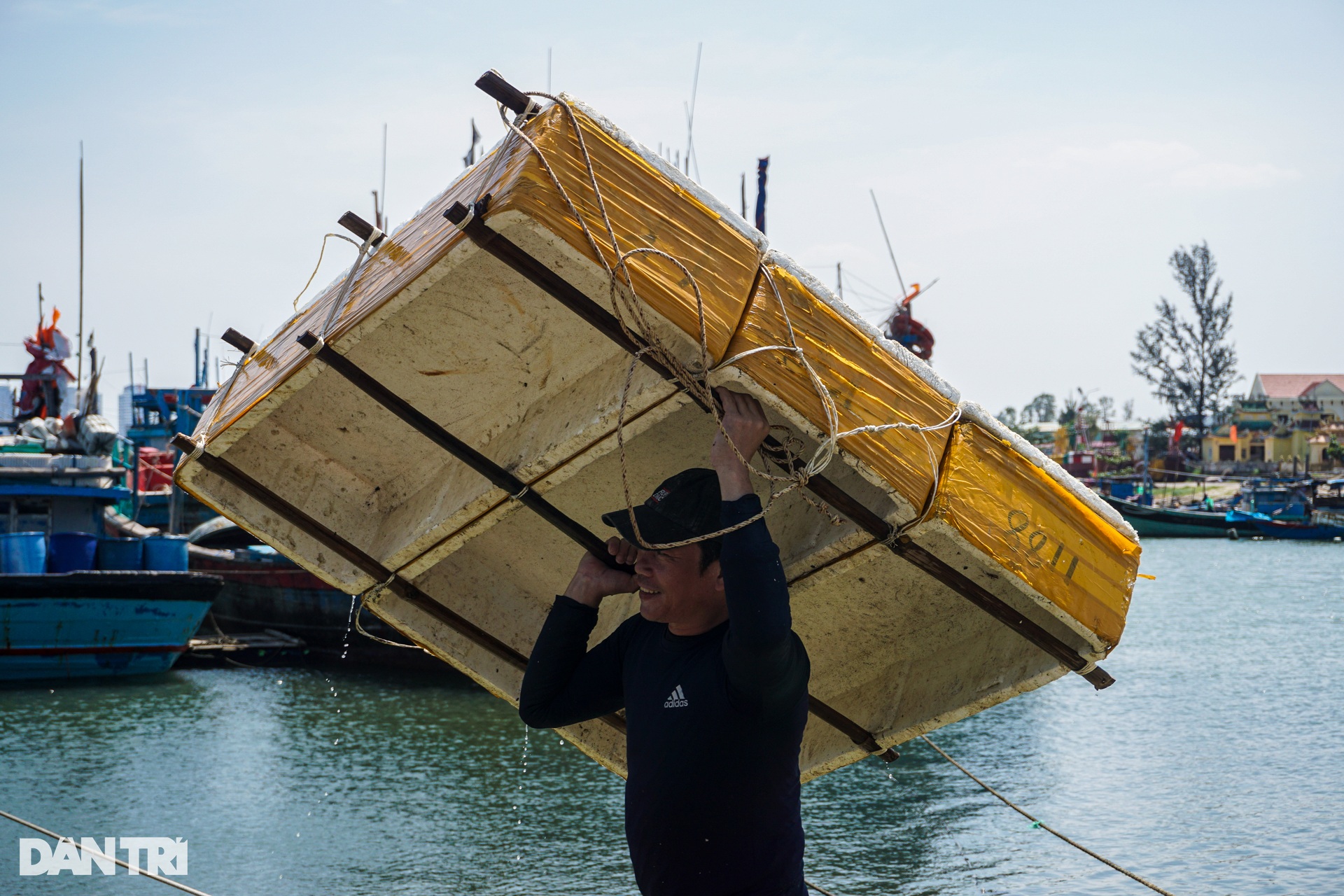 Cột 10kg xích sắt vào người, lặn xuống đáy sông tìm săn bờm bợp - 15 Cột 10kg xích sắt vào người, lặn xuống đáy sông tìm săn bờm bợp - 15