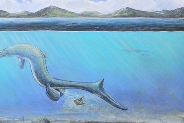 Lần đầu tiên phát hiện trứng của bò sát biển cổ đại