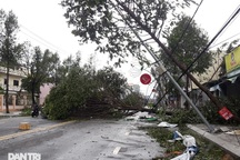 Quảng Ngãi: Nhà dân tan hoang sau bão số 9