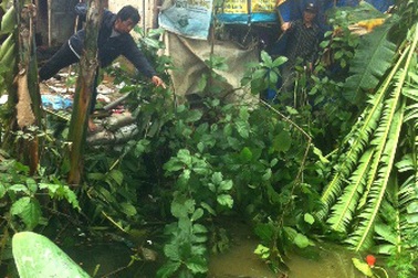 Giúp cha lợp mái nhà sau bão, bé gái 14 tuổi bị ngã chết