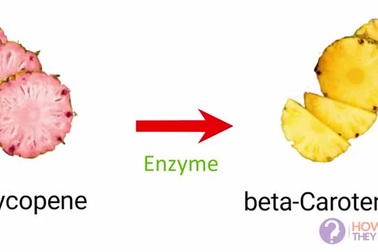 "Phát sốt" với những trái dứa ruột hồng có giá hơn 1 triệu đồng/quả