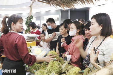 Cần Thơ đưa sầu riêng Ri 6 ra thị trường phía bắc qua Hải Phòng