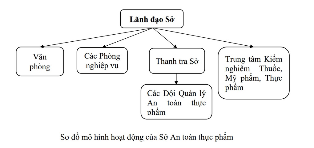 TPHCM có Sở An toàn thực phẩm đầu tiên của cả nước - 3 TPHCM có Sở An toàn thực phẩm đầu tiên của cả nước - 3