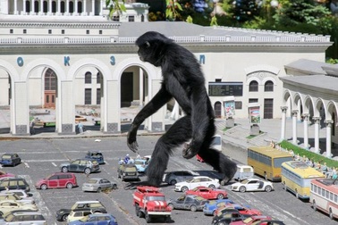 Những bức ảnh kỳ quặc thế giới năm 2021