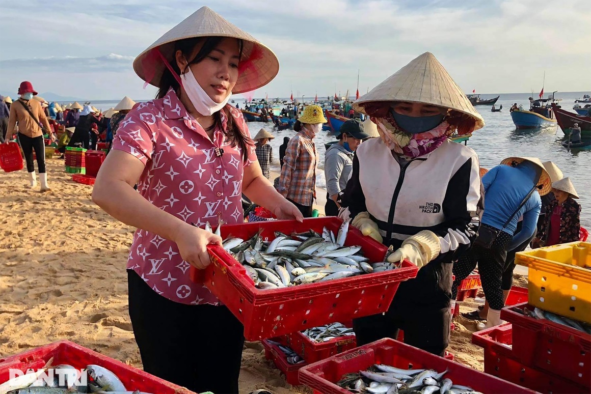 Người dân Quảng Bình góp hàng tấn cá tôm gửi các bếp ăn chống dịch ở TPHCMM - 5 Người dân Quảng Bình góp hàng tấn cá tôm gửi các bếp ăn chống dịch ở TPHCMM - 5