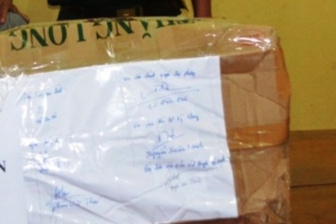 Bắt giữ đối tượng tàng trữ gần 20 kg thuốc nổ và 300 kíp nổ
