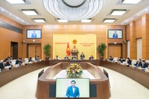 Quốc hội giảm 2 ủy ban, đổi tên nhiều cơ quan sau tinh gọn