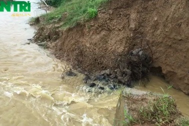 Đê vỡ sông Cầu Chày, hàng nghìn hộ dân bị đe dọa
