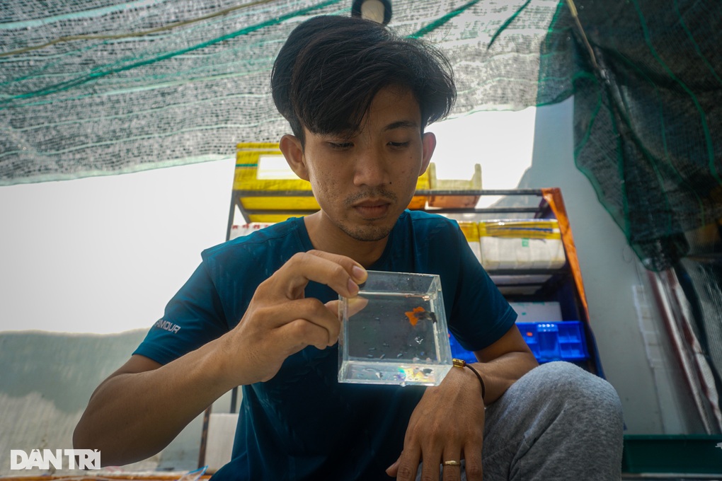 Ba chàng trai kết cạ làm giàu, tuyển... cá cho đại gia - 1 Ba chàng trai kết cạ làm giàu, tuyển... cá cho đại gia - 1