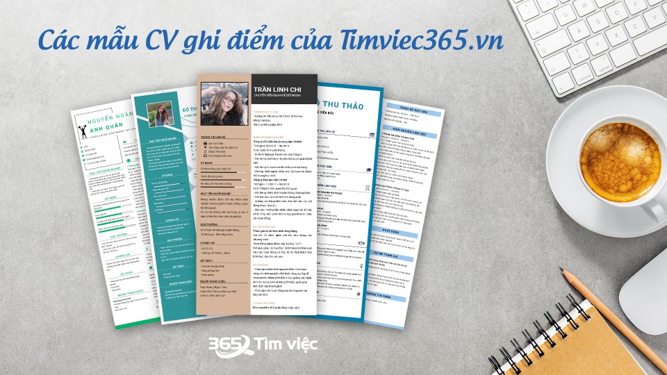 CV timviec365.vn - chiếc cần tốt câu việc làm kinh doanh tốt - 1 CV timviec365.vn - chiếc cần tốt câu việc làm kinh doanh tốt - 1