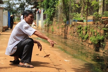 Hàng chục hộ dân sống chung với nước cống