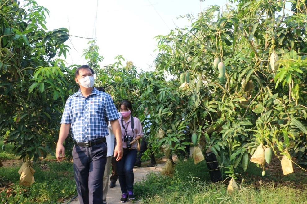 An Giang khôi phục kinh tế, không làm đứt gãy chuỗi sản xuất - 1 An Giang khôi phục kinh tế, không làm đứt gãy chuỗi sản xuất - 1