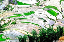 Ruộng bậc thang Sa Pa: “Top 7” ruộng bậc thang kỳ vỹ nhất thế giới