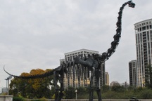 Vì sao không có động vật nào ngày nay khổng lồ như khủng long?