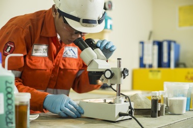 Masan ký hợp đồng mua lại nền tảng kinh doanh vonfram của H.C. Starck