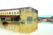 "Nước dâng ngang chân rồi ngang bụng, tôi chỉ kịp ôm hai con chạy"