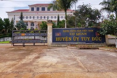 Chánh Văn phòng Huyện ủy đánh tài xế cơ quan nhập viện