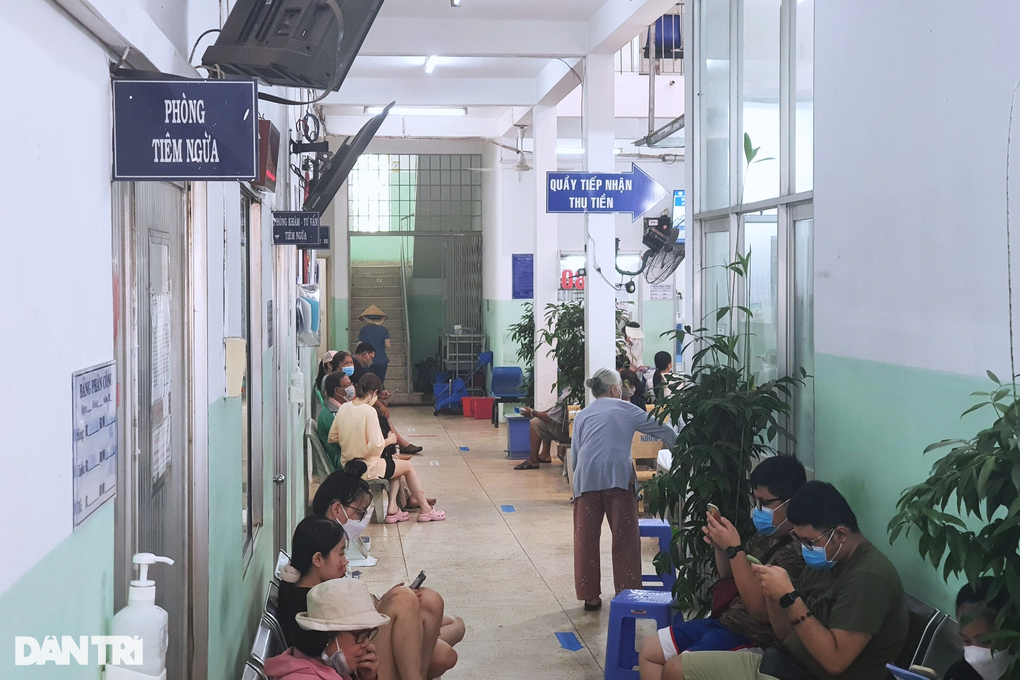 7 ngày, bệnh viện ở TPHCM tiếp nhận hơn 650 người bị động vật cắn - 1