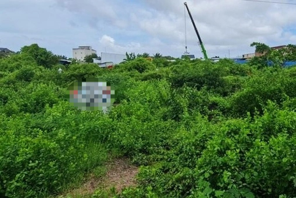 Cà Mau hủy 4 quyết định vụ đấu giá khu đất chưa “sạch” - 1 Cà Mau hủy 4 quyết định vụ đấu giá khu đất chưa “sạch” - 1