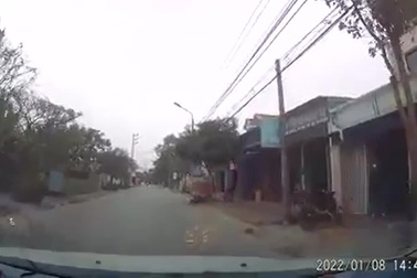 Tài xế suýt gặp họa khi trâu bất ngờ chạy băng qua đường