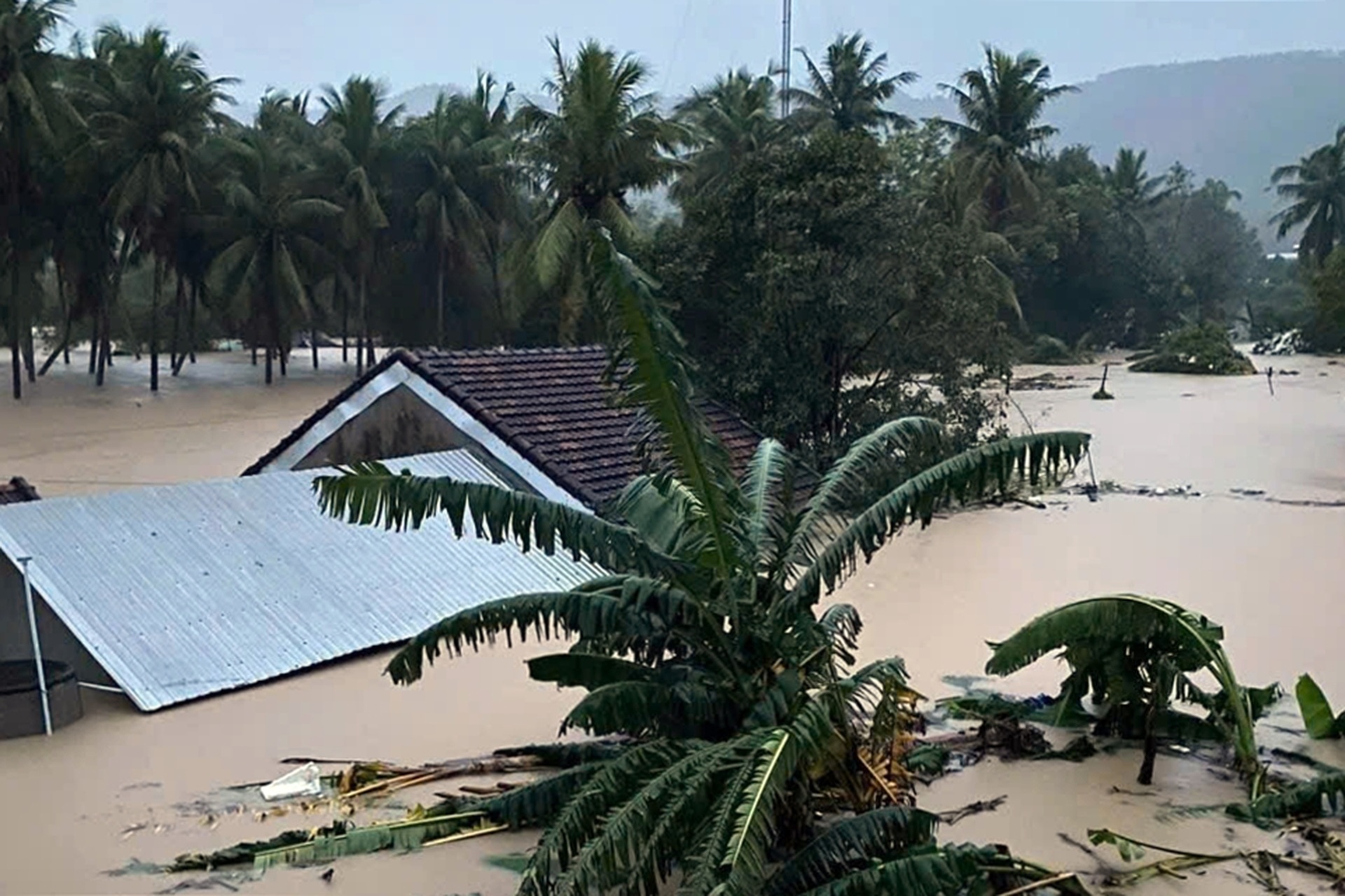 Lũ dâng ngang mái nhà, Phó Thủ tướng trực tiếp chỉ đạo cứu dân - 2 Lũ dâng ngang mái nhà, Phó Thủ tướng trực tiếp chỉ đạo cứu dân - 2