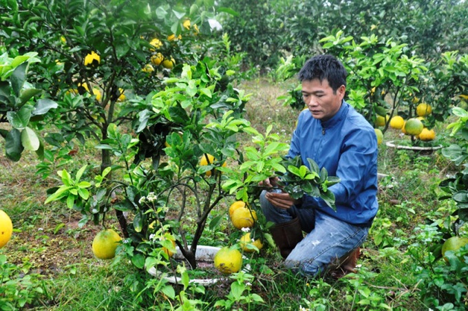 Nhiều mô hình đào tạo nghề cho lao động nông thôn hiệu quả ở Quảng Ninh - Ảnh 1.