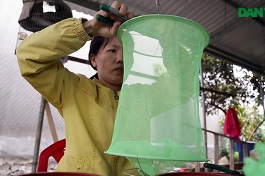 Kỹ sư 9x làm bẫy ruồi, tạo việc làm cho công nhân.