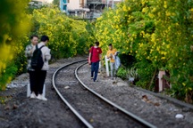 Người dân nói gì khi biến đường sắt thành đường hoa dài nhất Việt Nam?