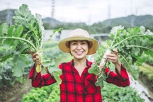 "Bật mí" 10 loại rau "quốc dân" của người Nhật Bản