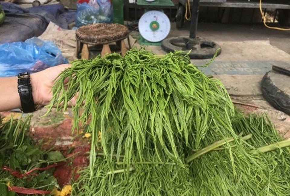 Lộc trời bốc mùi thối nồng nặc, mấy năm nay sốt bán kiếm tiền vèo vèo - 2 Lộc trời bốc mùi thối nồng nặc, mấy năm nay sốt bán kiếm tiền vèo vèo - 2