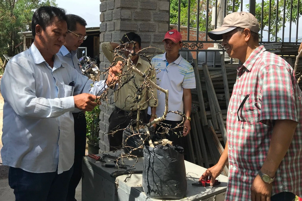 Đào tạo nghề cho lao động nông thôn theo nhu cầu xã hội - 2 Đào tạo nghề cho lao động nông thôn theo nhu cầu xã hội - 2