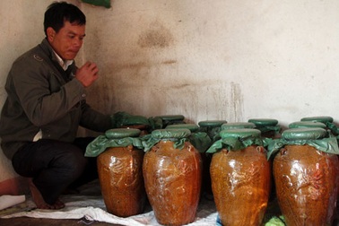 Đắk Nông: Cận Tết Nguyên đán, rượu cần lại chuẩn bị “du xuân”