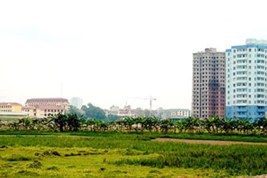 Tổng kết thi hành Luật Đất đai trước 31/12/2010