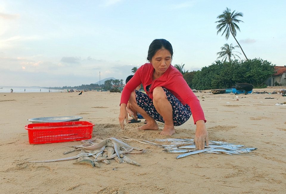 Phú Yên: Tất bật mưu sinh trong buổi sáng sớm ở làng chài ven biển - 8 Phú Yên: Tất bật mưu sinh trong buổi sáng sớm ở làng chài ven biển - 8