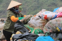 Ninh Bình: Gỡ "nút thắt" để lao động tự do được hỗ trợ theo Nghị quyết 68