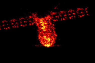 Trạm vũ trụ Trung Quốc cháy rụi khi lao xuống Trái Đất