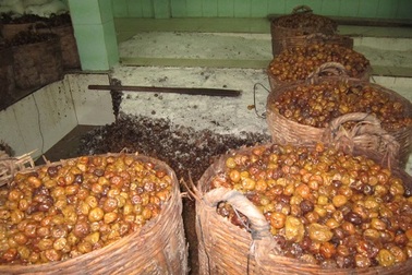 Kinh hãi mứt dừa làm từ dừa phế thải, ômai lẫn trong khói bụi