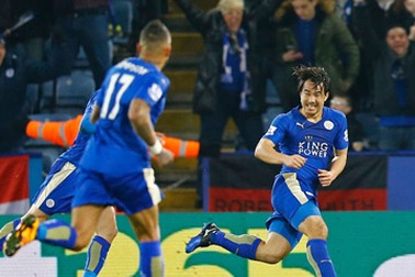 Leicester City thăng hoa: Hãy cứ bay cao chú chim nhỏ!