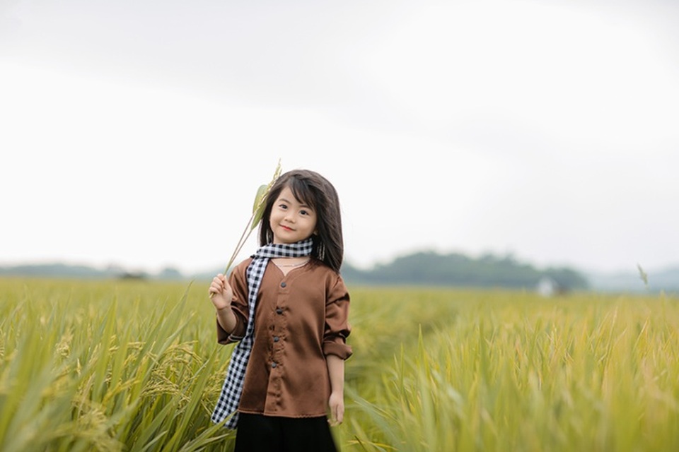 Bé gái xinh như thiên thần trên cánh đồng mùa lúa trổ bông - 1 Bé gái xinh như thiên thần trên cánh đồng mùa lúa trổ bông - 1