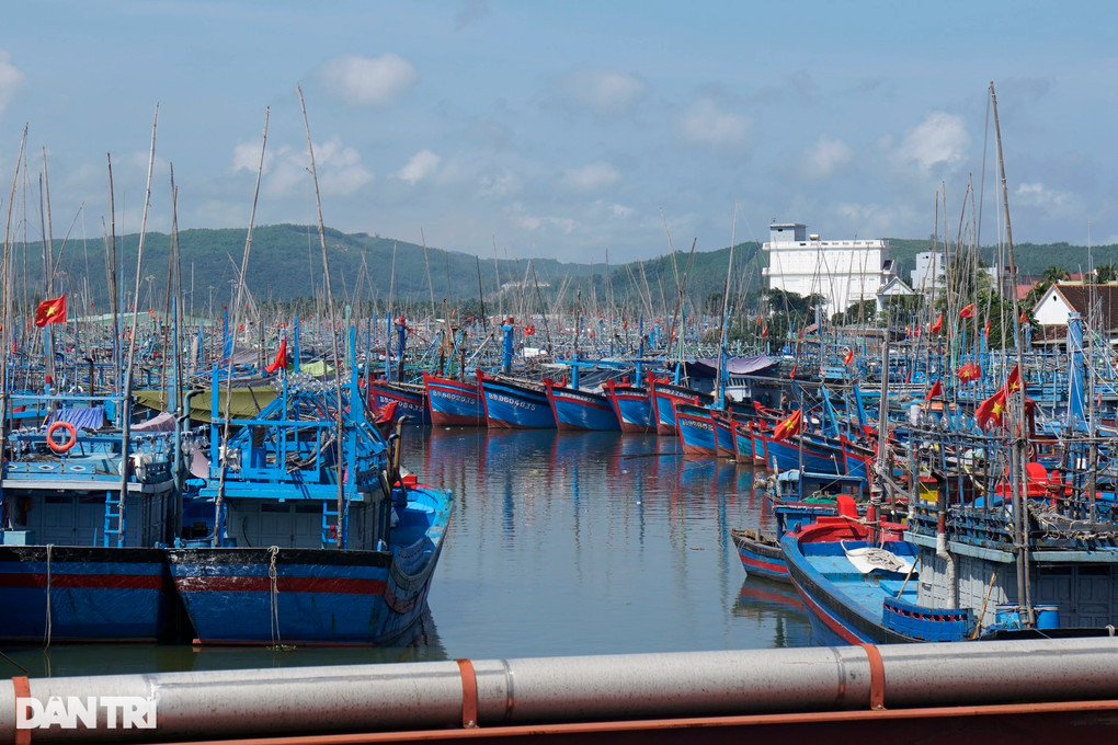 Bình Định cảnh báo hàng trăm tàu cá có nguy cơ cao vi phạm IUU - 1 Bình Định cảnh báo hàng trăm tàu cá có nguy cơ cao vi phạm IUU - 1