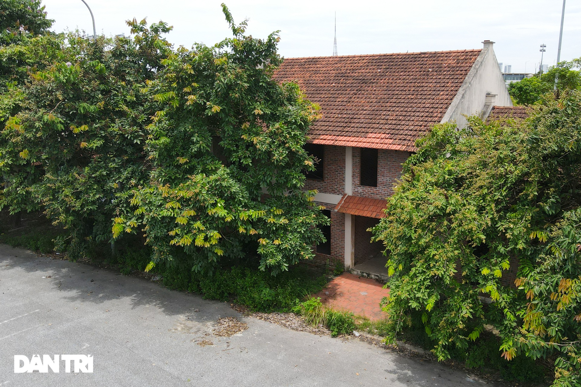 Cận cảnh khu liên hợp thể thao Mỹ Đình bị xẻ thịt cho thuê - 8 Cận cảnh khu liên hợp thể thao Mỹ Đình bị xẻ thịt cho thuê - 8