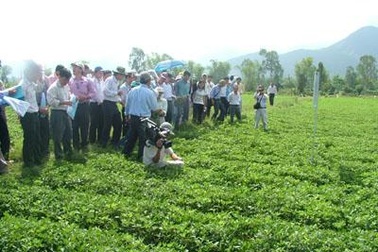 Từ 1/1/2010: Kiểm kê đất đai để xử lý sai phạm