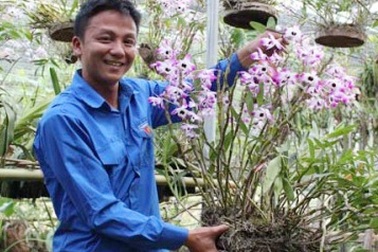 Về núi trồng lan