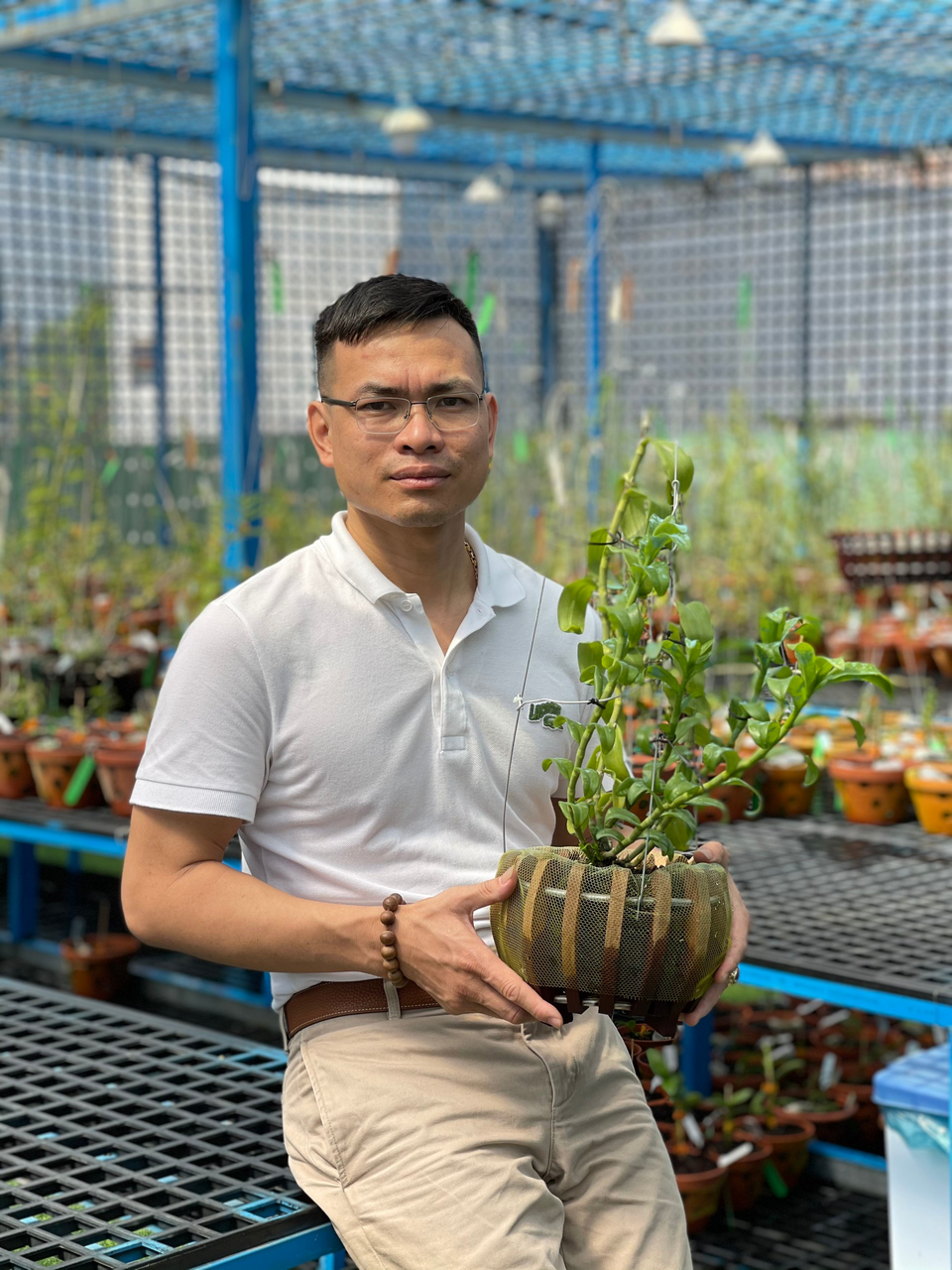 Nghệ nhân Bùi Đình Chung bật mí cách chăm lan đột biến vào mùa hè - 1 Nghệ nhân Bùi Đình Chung bật mí cách chăm lan đột biến vào mùa hè - 1