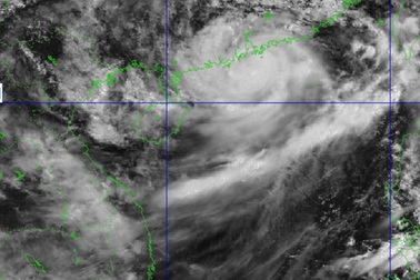 Bão Wipha tăng lên gần cấp 12 giật cấp 15, cách Quảng Ninh hơn 600km