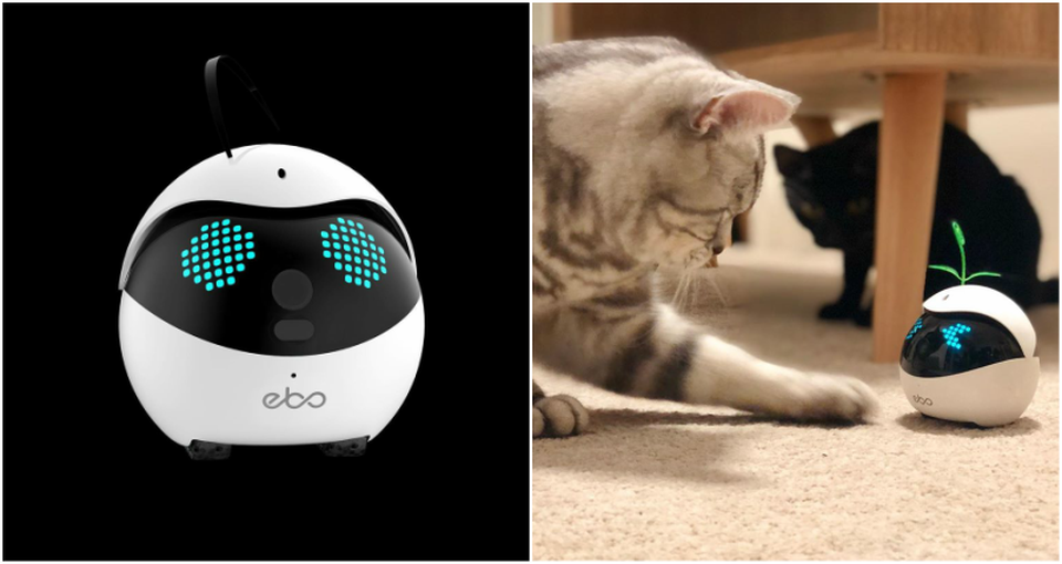 Công ty Trung Quốc chế tạo robot chơi với mèo khi chủ vắng nhà - 1 Công ty Trung Quốc chế tạo robot chơi với mèo khi chủ vắng nhà - 1
