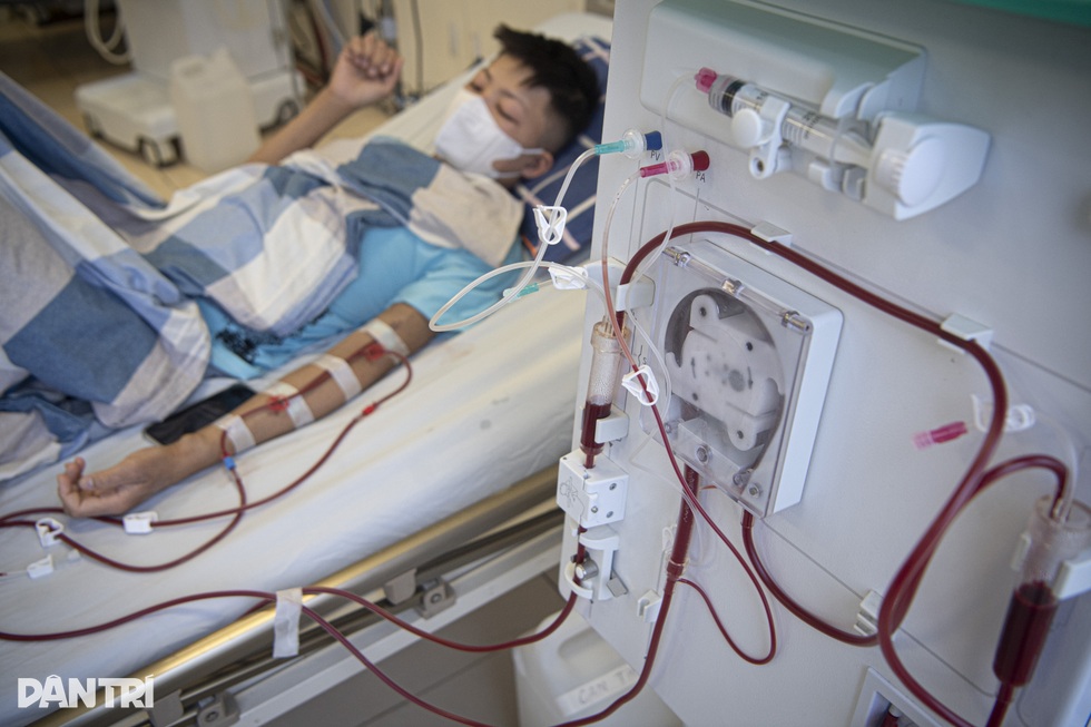 Bóng hồng trong phòng bệnh thế kỷ - 1